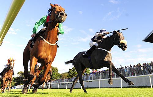 Kerisa (nearest) holds off the challenge of Drifting Mist