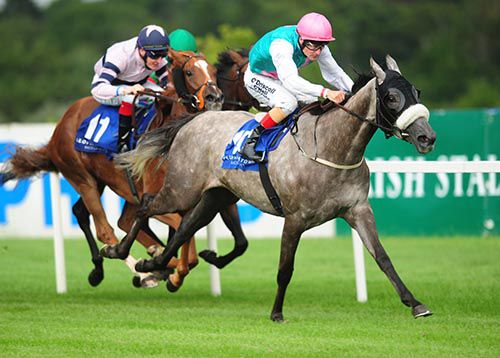 Convocate hits the front at Leopardstown