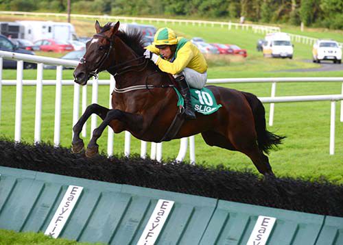 Pollywollydoodle jumps the last under Eddie O'Connell