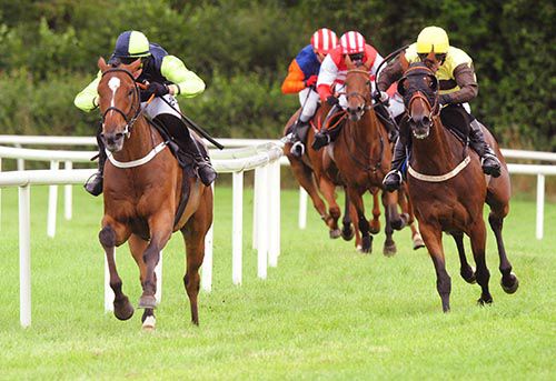 Flanagans Field & Roger Loughran (right) race away from Kestrel & Martin Ferris 