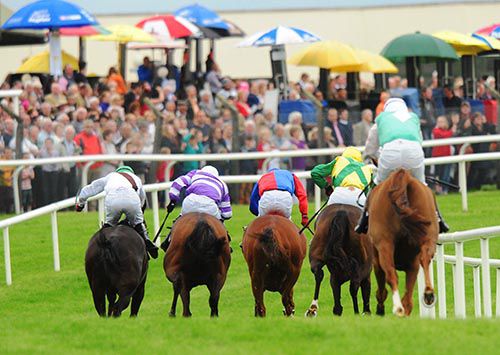 Looking For Toby (blue & red) battles out the finish with Dancing Roe (purple) and Georges Conn (left)