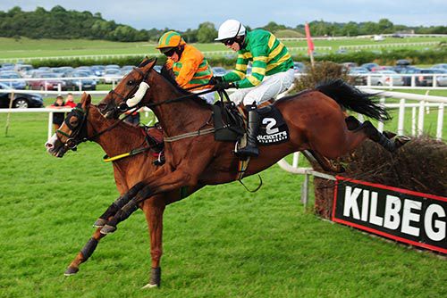 Double Seven (nearest) jumps the last alongside Fisher Bridge