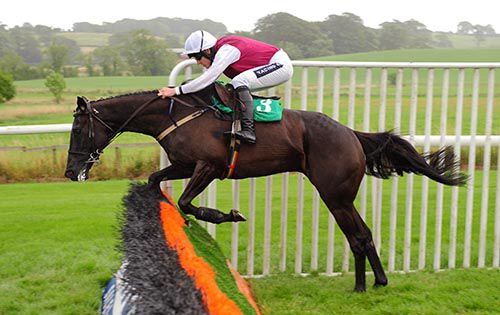Un Beau Roman gets over this flight and goes on to score under Ruby Walsh