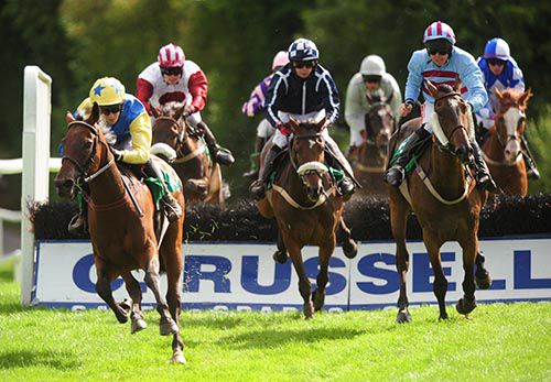 Little King Robin, left, makes the best way home at Downpatrick