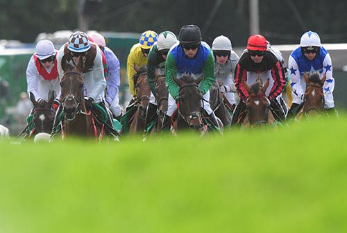 The early stages of the bumper with the eventual winner, Time For A Pint, on the far left