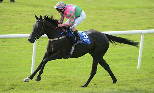 Granny On Fire eases to victory under Shane Gray