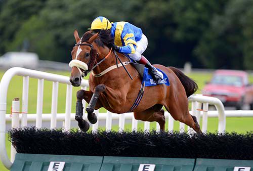 Foot Soldier, in first time cheekpieces, jumps a hurdle on his way to victory under David Casey