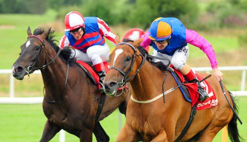 Along Came Casey, right, impresses at Gowran Park