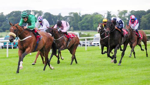 Castle Guest and Shane Foley out in front at Gowran Park
