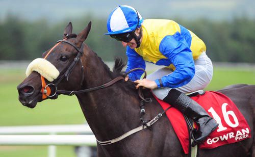 Ned's Indian and Philip Donovan in action at Gowran Park