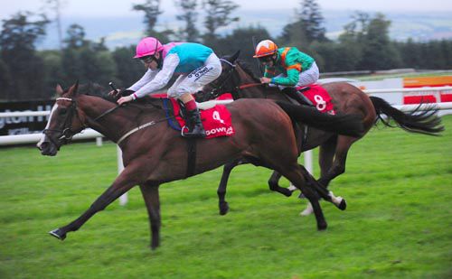 Calibrate, near side, has too much for Laviniad at Gowran Park