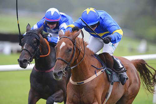 Dysart Dancer, right, beats Storm Away at Tramore