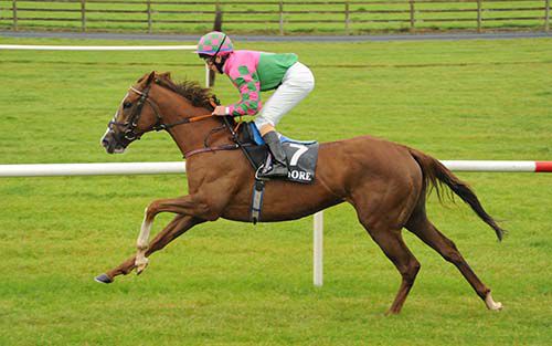 Stepping Down and Shane Gray coast home at Tramore