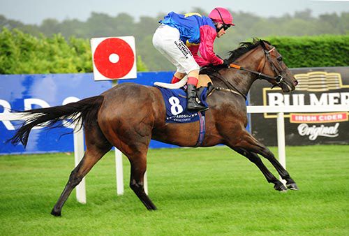 So Devoted arriving at the winning post at Leopardstown