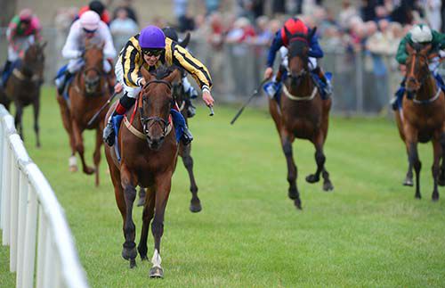 Cin Cin powers clear for Emmet McNamara at Tramore