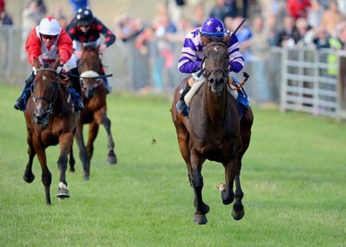 Kims Dream provides Shane Gray with his third winner at the Festival