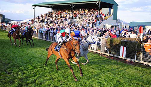 Diamond Pro (near side) and Seamie Heffernan just beat Ocean Bright