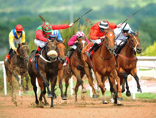 Farmleigh House (hooped cap) just holds off Via Ballycroy