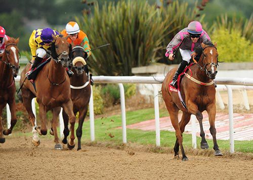 Maudlin Magdalen and Ben Curtis are a winning partnership at Dundalk