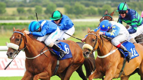 Daymoona (No 6) stays on best to beat Senyuman