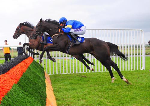 Sharjah jumps a hurdle on his way to victory under Brian O'Connell