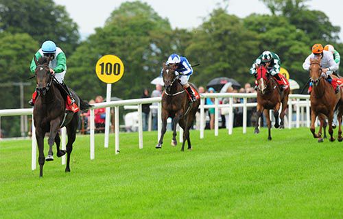 Pearl Earing comes home well clear in Sligo