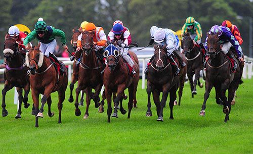 Engage The Dance, second right in white sleeves, comes to collect at Sligo