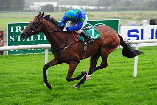 Long Dog won a maiden on the level at Sligo when trained by Andy Oliver