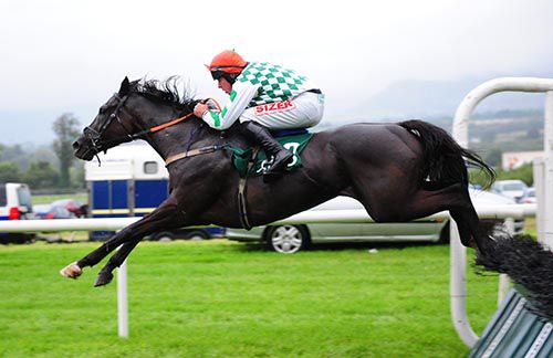 The Black Russian (seen at Sligo)