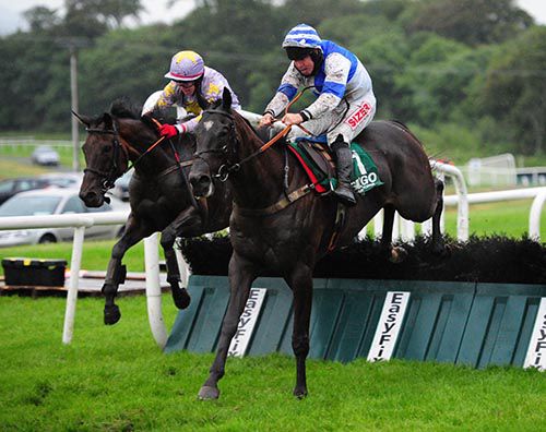 Harangue, right, wins at Sligo under Andrew Lynch
