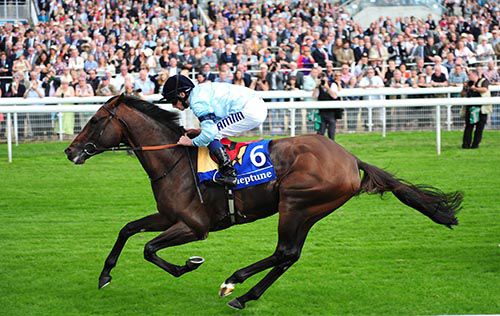 Telescope & Ryan Moore pictured on their way to success