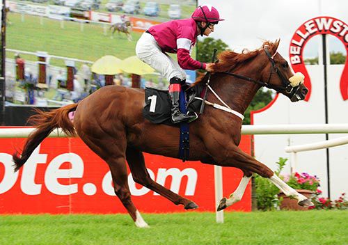 Bleeding Hearts is eased down close home by Shane Foley