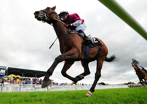 Summer Isles comes home a comfortable winner under Danny Grant