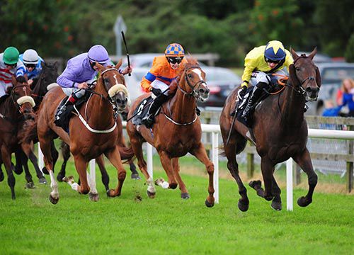 Cullentry Royal (yellow) is driven out by Danny Mullins to beat Cebuano (purple) and Waver (orange)