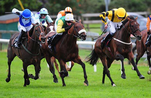Ted Veale (noseband) comes through to win at Bellewstown last night