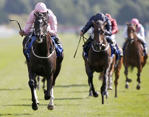 The Fugue