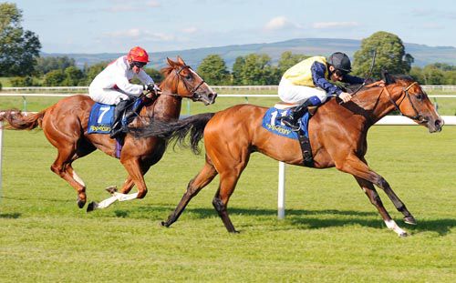 Swift Action goes on from South Ring in second