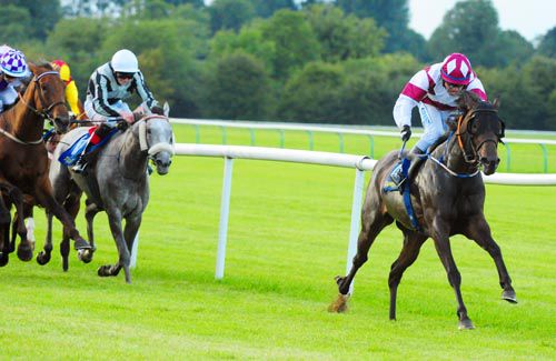 Art Scene and Danny Grant win in good style