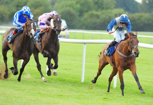 Lady O Malley is driven out by Gary Carroll to beat At Boolavogue (pink) and Carenza
