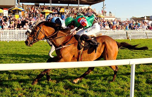 Courtncatcher just holds off the late challenge of the grey Corrick Bridge