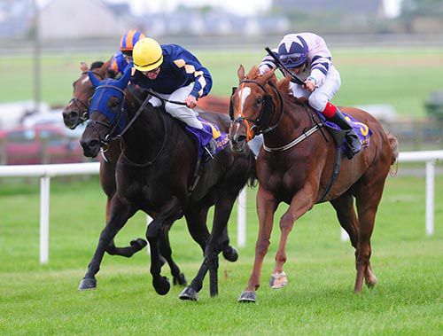 Magical Steps, right, gets on terms with Surreal