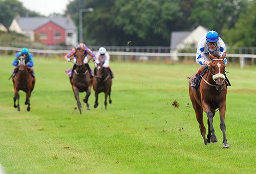 It's Hikari in a canter under Pat Smullen
