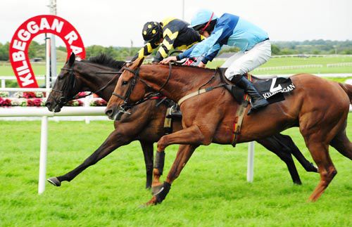 Fourth Class, far side, lands at the winning post ahead of Prosperity Square
