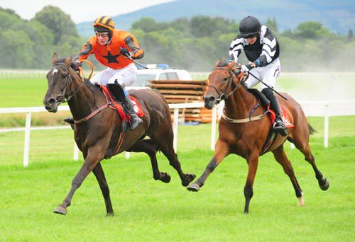 Celtic Fashion, left, proves too strong for Goldboy