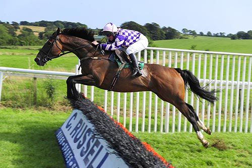 Bahati Boy jumps a flight under Paul Cosgrave 