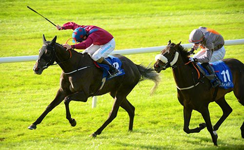 Flawless Filly holds off Las Encinas at Ballinrobe