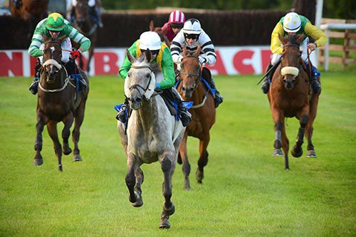 Muzak and Robbie Dunne have all their rivals beaten off at Ballinrobe