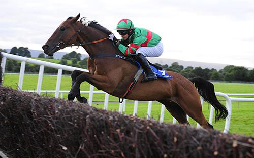 Equipped with cheek-piece type aid up top, Heaney takes the last under Paul Townend