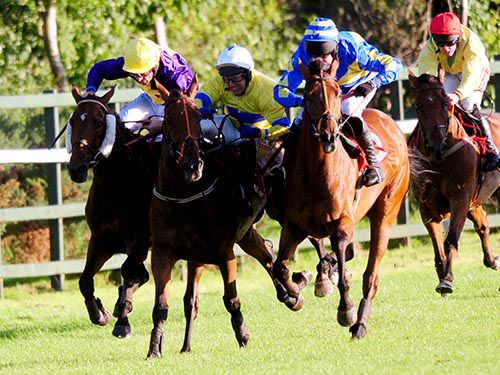 Trust Healy Racing to capture the drama as The Real Article edges into Burn And Turn and Spring Heeled