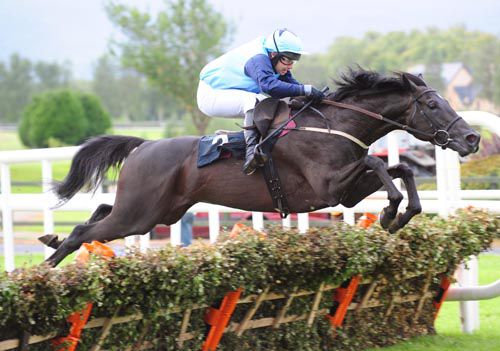 Gmac jumps the last under Alan Crowe